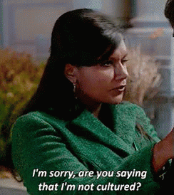 I'M Sorry Are You Saying That I'M Not Cultured GIF - Mindy Kaling Mindy Lahiri Culture GIFs