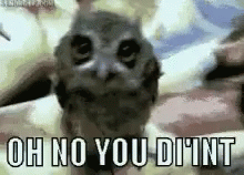 Oh No You Dint Owl GIF - Oh No You Dint Owl Sass GIFs