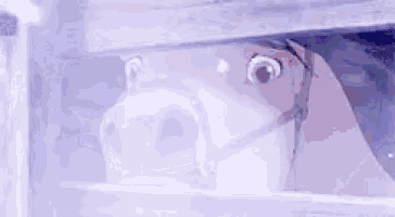a horse is looking out of a window in a stable .