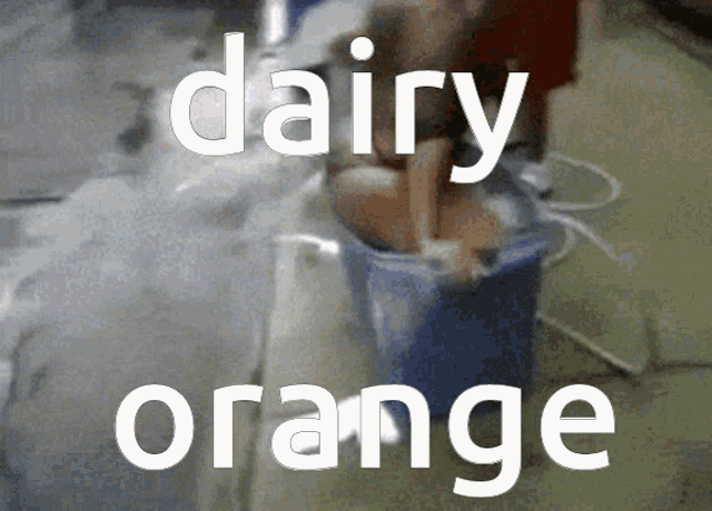 Dairy Orange Dairy GIF - Dairy Orange Dairy Orange GIFs