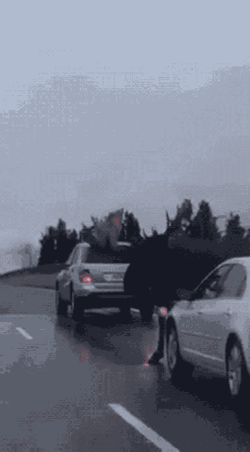 Moose Road GIF - Moose Road Storm GIFs