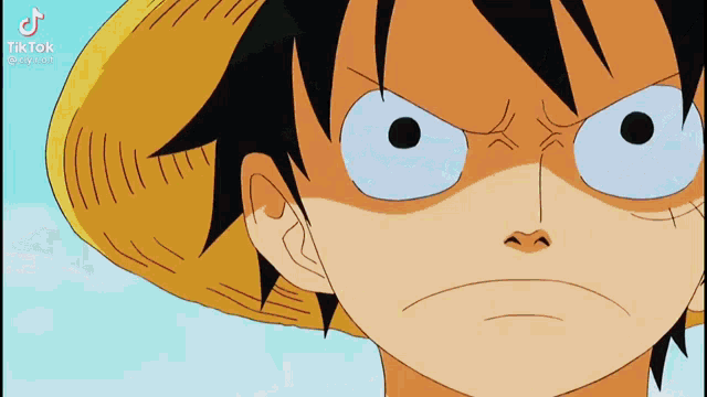 roronoa zoro is holding a sword in his mouth .