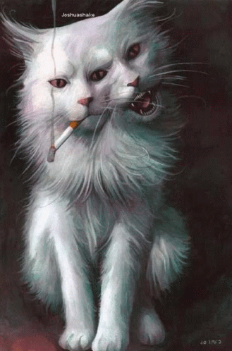 Cat Smoking GIF - Cat Smoking Two Faced GIFs