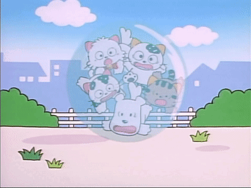 Tama And Friends Bubble GIF - Tama And Friends Bubble Shaking GIFs