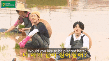 a group of people are planting rice in a flooded field with a sign that says going seventeen on it