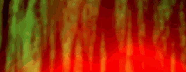 a silhouette of a hand reaching out in front of a red and green background .