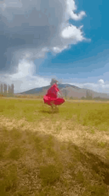 a woman in a red dress is standing in a grassy field .