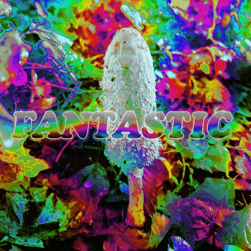 a colorful painting of a mushroom with the word fantastic on it