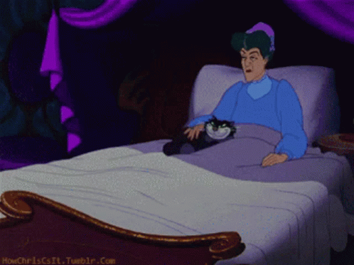 Cat Caressing GIF - Cat Caressing Bed GIFs