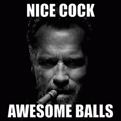 Nice Cock Cock GIF - Nice Cock Cock Awesome Balls - Discover & Share GIFs