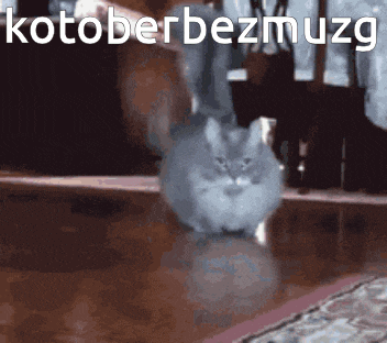 a picture of a cat with the words kotober bezmuzq written on the bottom