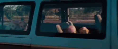 So Many Puppies GIF - Bridesmaids Puppies Melissamccarthy GIFs