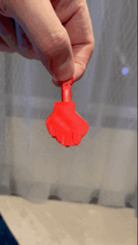 a person is holding a small red object in their hand .