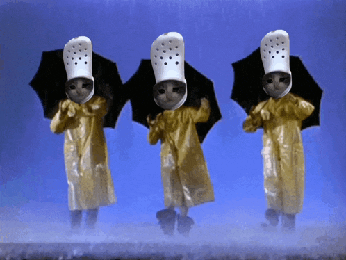 three cats wearing raincoats and crocs are holding umbrellas