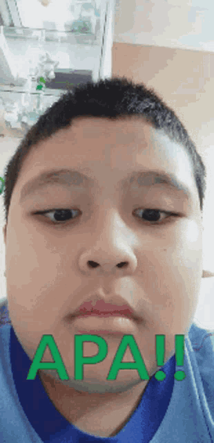 Apa GIF
