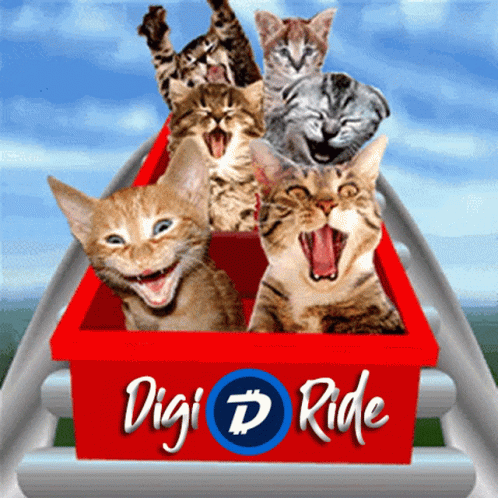 Digibyte Cats GIF - Digibyte Cats Ride GIFs