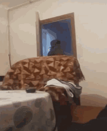a person is sitting on a couch in a living room looking out a door .