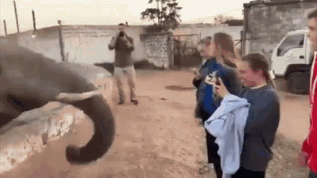 a group of people are standing around an elephant while a man takes a picture .