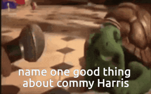 a picture of a turtle with the words name one good thing about commy harris