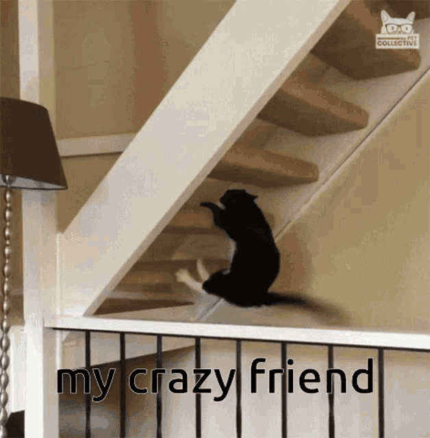Cat Stairs GIF - Cat Stairs Funny GIFs