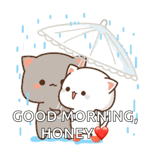 a cartoon of two cats under an umbrella with the words good morning honey written below them