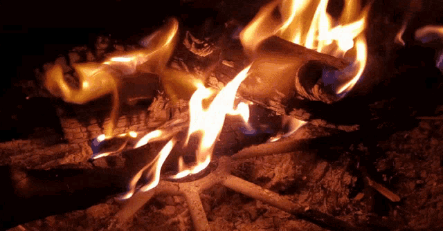 Fire Burning GIF - Fire Burning On Fire GIFs