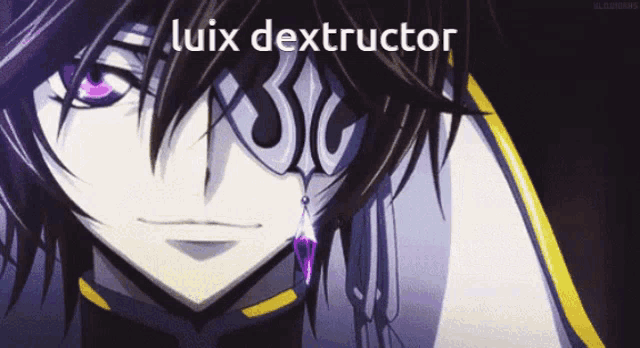 a close up of a anime character with the words luix destructor written above him