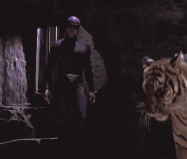a man in a purple suit is walking a tiger