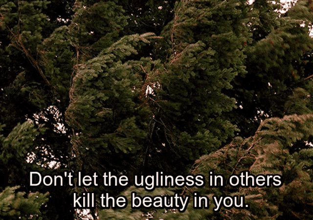 a tree with the words " don t let the ugliness in others kill the beauty in you "