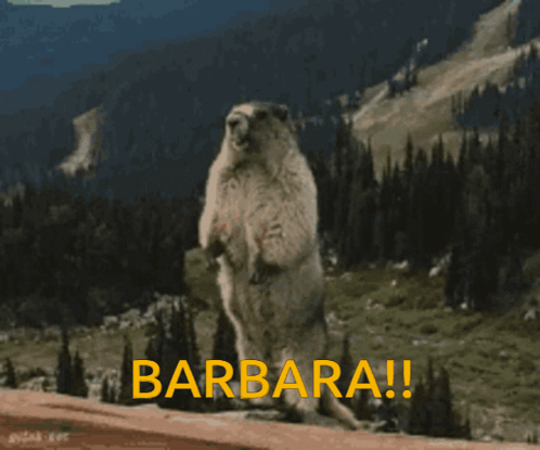 Barbara Beaver GIF - Barbara Beaver Yelling GIFs