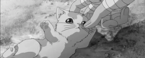 Anime Kitten GIF