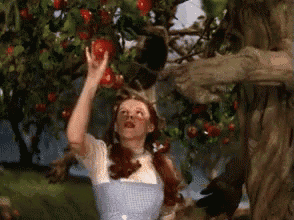 a woman is reaching for an apple from a tree .