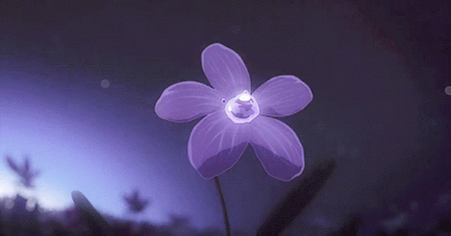 Flowers Aesthetic GIF - Flowers Aesthetic Purple Heart GIFs