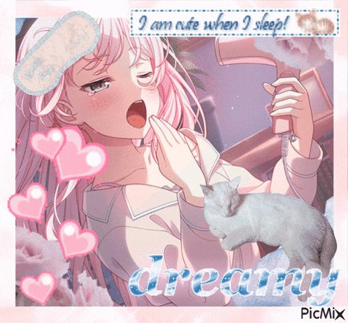 a picture of a girl holding a hair dryer with the words " i am cute when i sleep " written above her