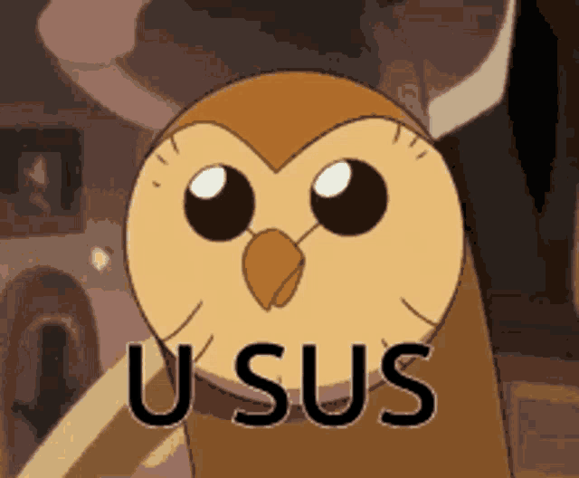 a cartoon owl with the word usus written on its face