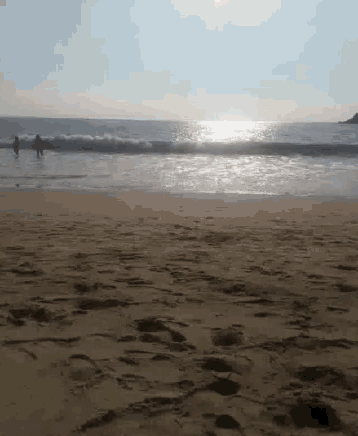 Beach Ocean GIF - Beach Ocean Waves GIFs