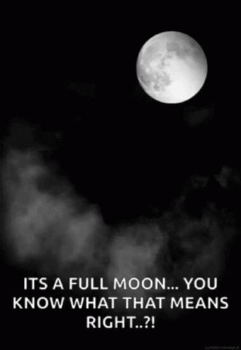 Full Moon Night GIF - Full Moon Night You Know What That Means Right GIFs
