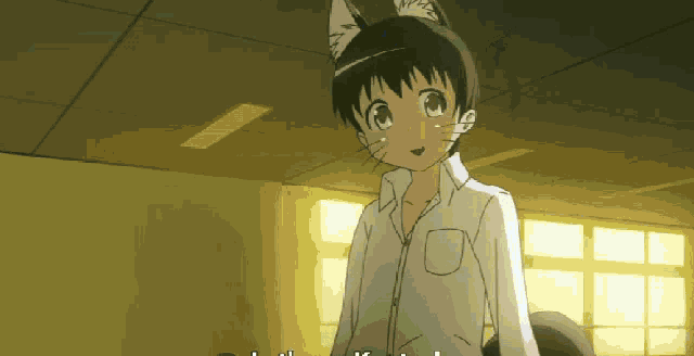 a boy with a cat 's ears and a white shirt