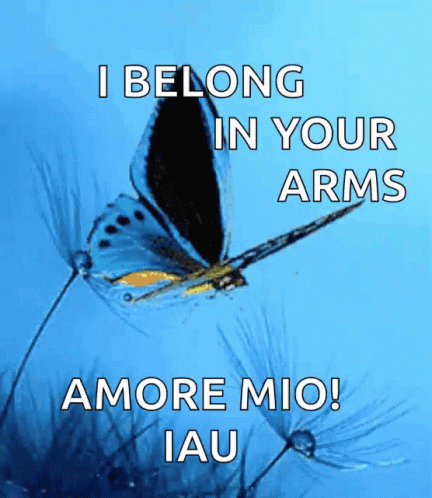 Butterfly Blue Butterfly GIF - Butterfly Blue Butterfly Fly GIFs