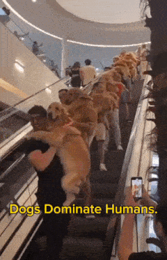a man is carrying a dog up an escalator with the caption dogs dominate humans