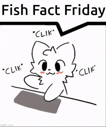 a drawing of a cat with the words fish fact friday