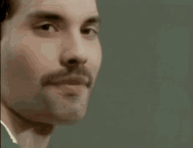 a close up of a man 's face with a beard and mustache .