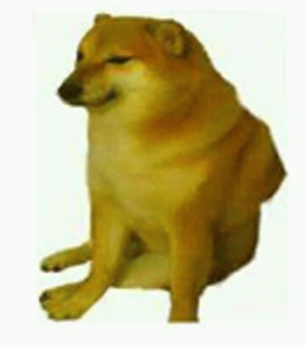 Dog Sad GIF - Dog Sad GIFs