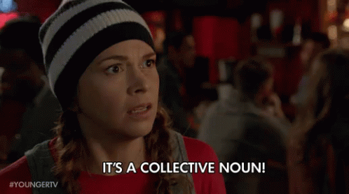 It'S A Collective Noun! GIF - Younger Tv Younger Tv Land GIFs