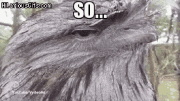 a close up of a bird 's face with the words so on the bottom