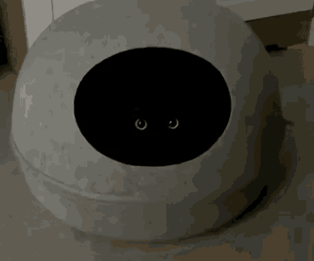 a black cat is looking out of a black hole in a gray cat house .
