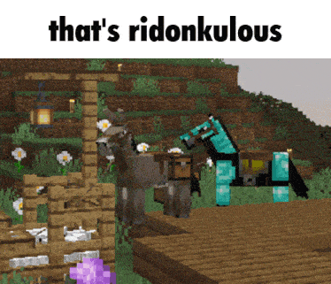 a picture of a horse in a minecraft world with the caption that 's ridonkuluus