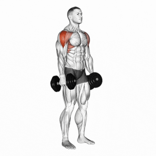 a man is holding a pair of dumbbells over his shoulder .