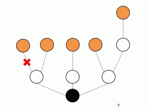 Hydra Graph GIF - Hydra Graph Theory GIFs