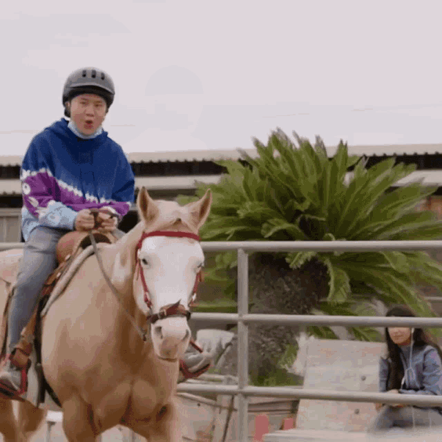 Riding Horse Tim Chantarangsu GIF - Riding Horse Tim Chantarangsu Ride On GIFs
